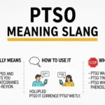 PTSO Meaning Slang