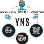 YNS Meaning Slang