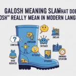 Galosh Meaning Slang